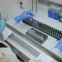 Alerta reforçado para quem já teve dengue -  Túlio Santos/EM/D.A Press – 12/3/20