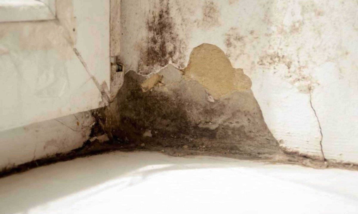 Acabar com a umidade que atinge tanto as paredes quanto os pisos é uma tarefa essencial para não comprometer ainda mais a estrutura da casa  -  (crédito: K1tyara de Getty Images)