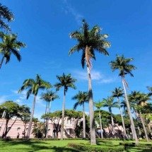 Domingo vai ser com calor e chuva em BH? Confira previsão do tempo - Gladyston Rodrigues / EM / D.A Press