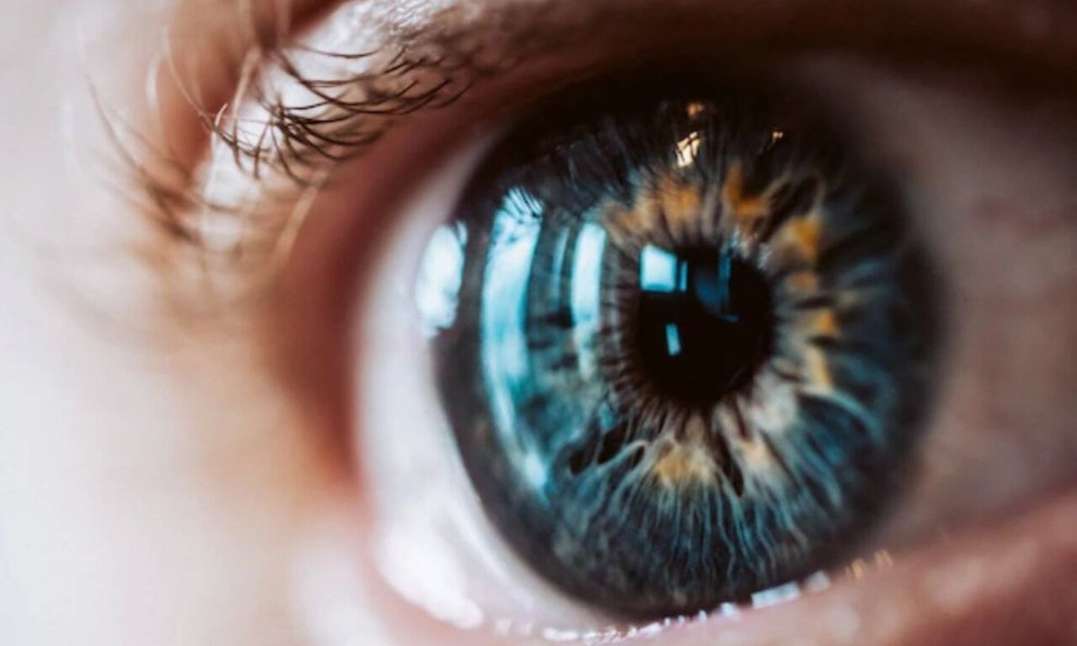 A hortelã é rica em nutrientes, incluindo vitamina A, vitaminas do complexo B, vitamina C, fósforo, ferro e potássio. Eles contribuem para a saúde dos olhos, pele, sistema nervoso e imunidade. -  (crédito: Freepik)