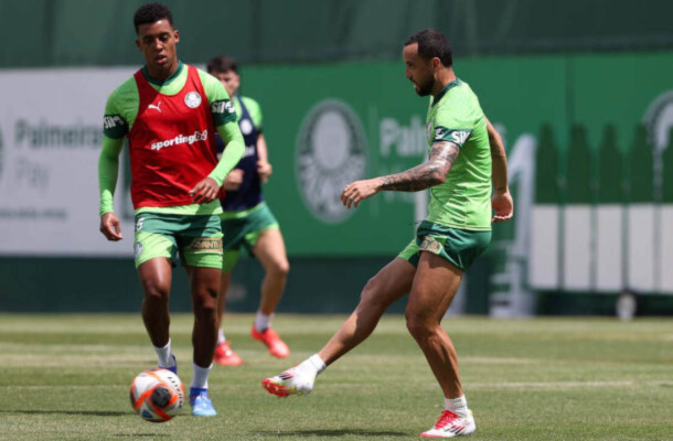 Palmeiras se reapresenta e deve ter novidades para o clássico