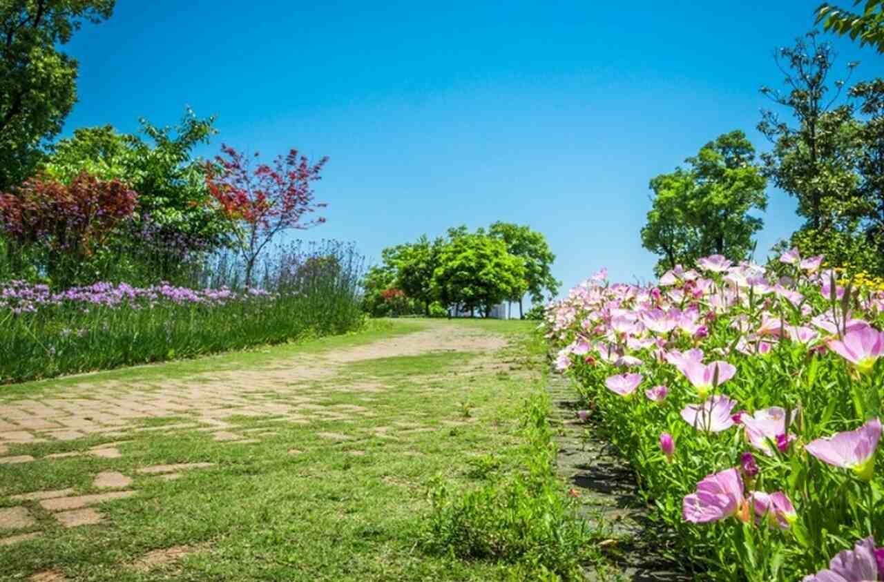 Isso faz com que desempenhem um papel importante no controle biológico, limitando a quantidade de pestes em várias culturas e jardins.