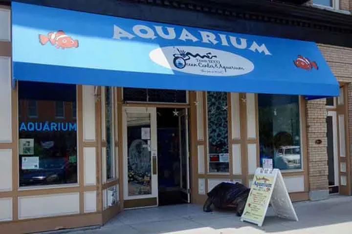 O caso aconteceu no Aquarium and Shark Lab, em Hendersonville, no estado da Carolina da Norte. 
