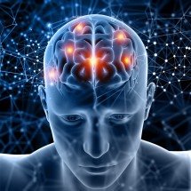 Bilinguismo estimula a memória e combate o declínio mental - DINO