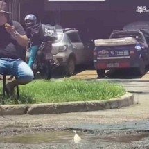 Vídeo: homem 'pesca' peixe em buraco no asfalto de cidade mineira - Reprodução / Bruno Ferreira Fuscão Fiscal