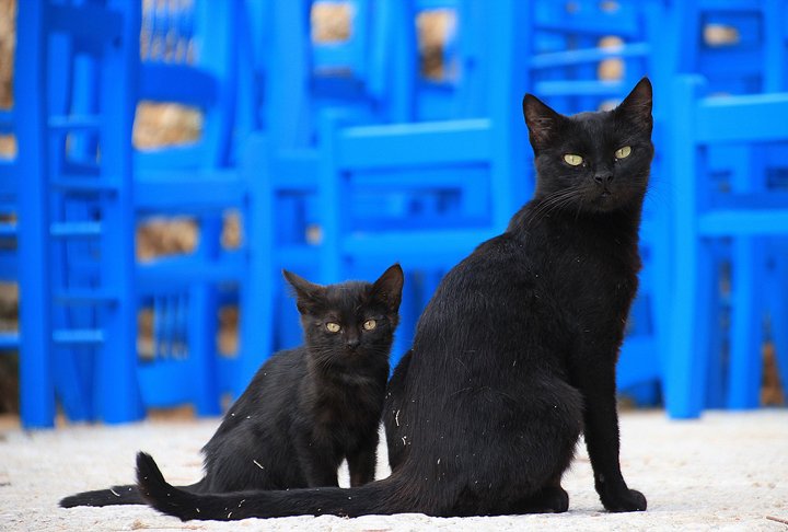 O oitavo apelido mais citado pelos entrevistados é 