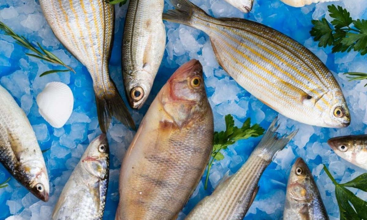 É importante se certificar de que os alimentos estão frescos e bem cozidos e evitar consumir alimentos crus -  (crédito: FreePik)
