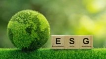 Incorporar metas ESG nos planos de negócios é uma tendência  - DINO