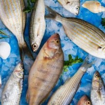 Mais comum no verão, intoxicação alimentar mata 600 mil pessoas por ano - FreePik