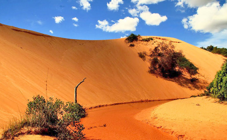 Outro grande ponto forte deste território são as dunas de areias douradas, que alcançam até 30 metros de altura. Esta beleza natural rendeu ao lugar o apelido de ‘Deserto do Jalapão’ 