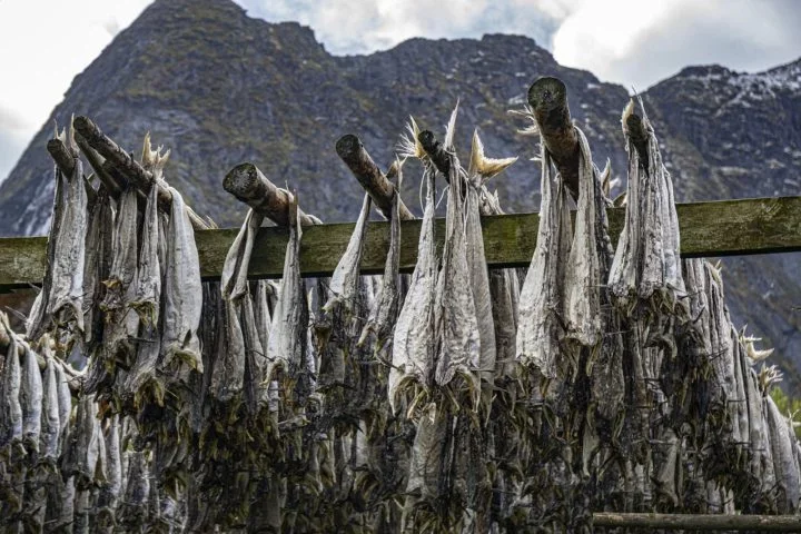 Historicamente, o bacalhau ganhou popularidade devido à sua facilidade de conservação quando salgado e seco, um método usado desde a época dos vikings e consolidado pela indústria pesqueira ao longo dos séculos.