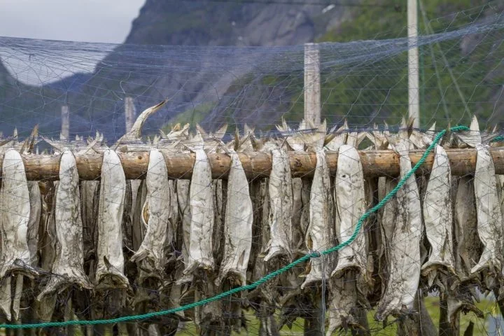 Segundo a BBC, ao longo do sÃ©culo 14 a Marinha lusitana descobriu que o processo de conservaÃ§Ã£o por salga e secagem estenderia a durabilidade do bacalhau por anos nos porÃµes dos navios.