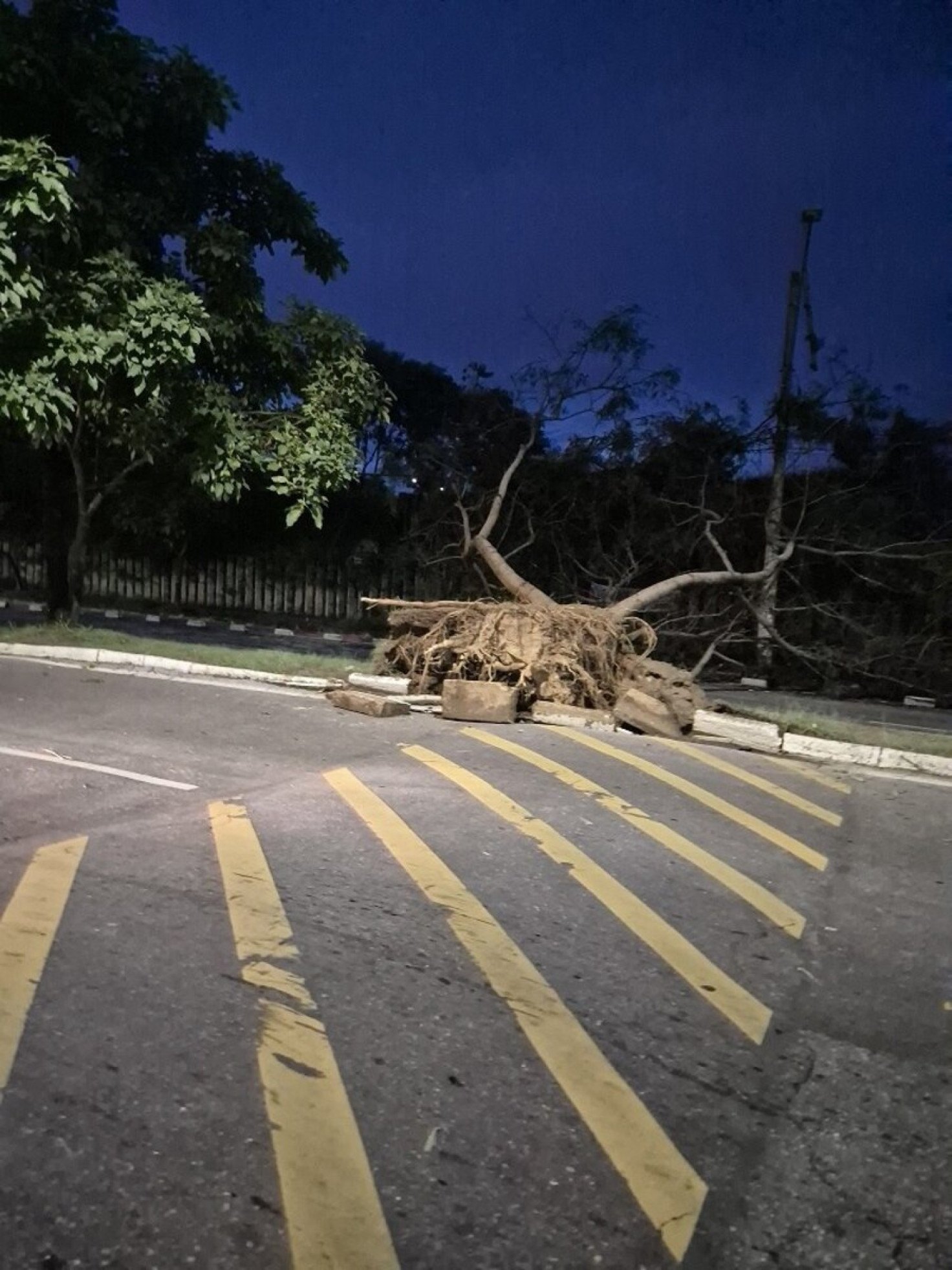 Árvore cai atravessada na av. Américo Vespúcio