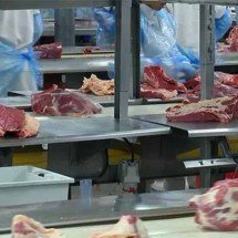Brasil registra recorde de exportação de carne bovina em 2024 - Reprodução/TV TEM