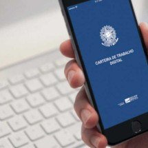 Carteira de Trabalho Digital permite consultas a vagas do Sistema Nacional de Emprego - Agência Brasil