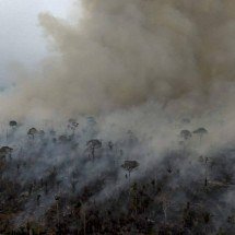 Devastação por incêndios cresceu 79% em 2024 no Brasil - MICHAEL DANTAS / AFP