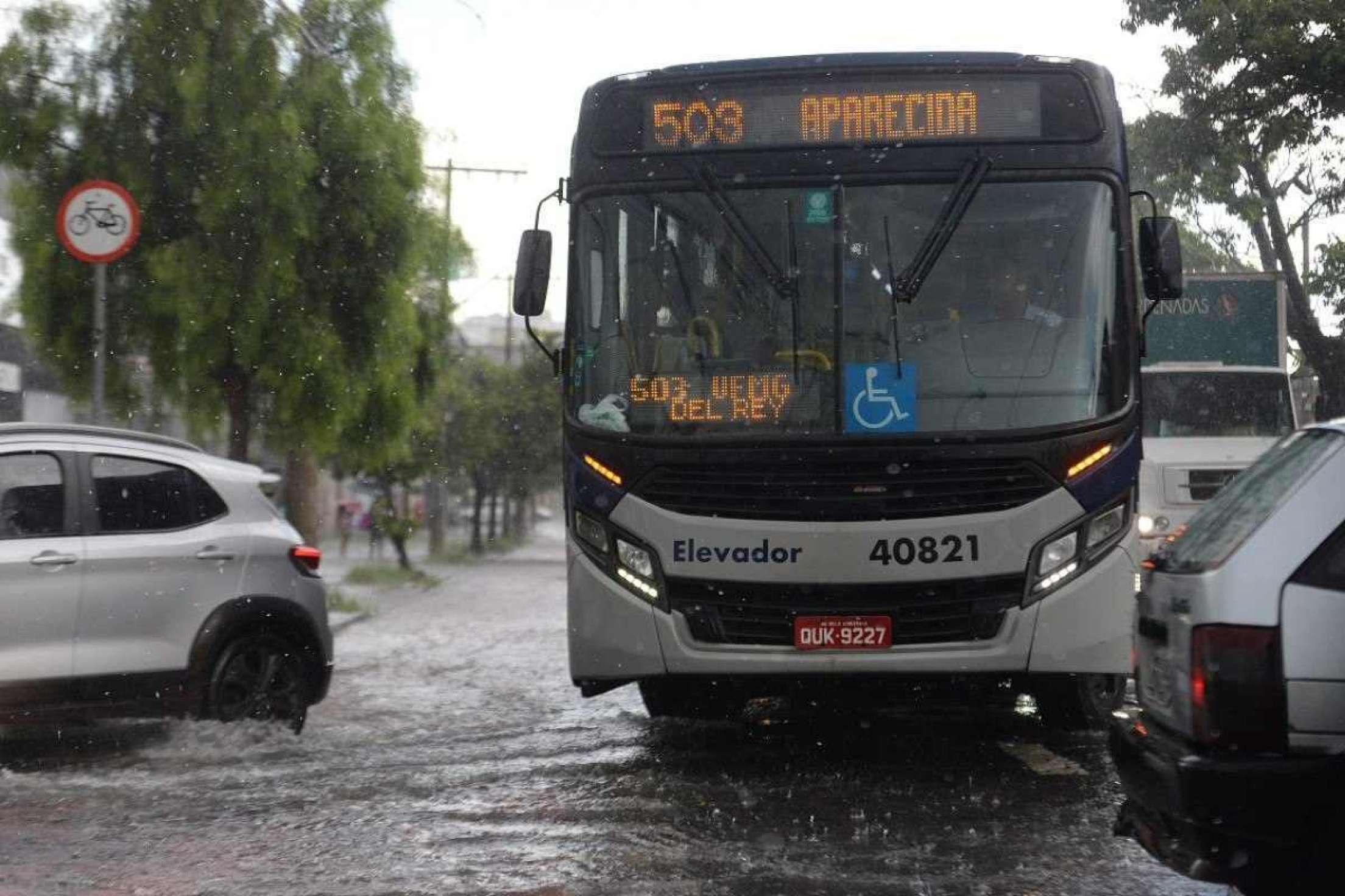 Av. Américo Vespúcio. Arvore caída fecha via no sentido Av. Presidente Carlos Luz.
      