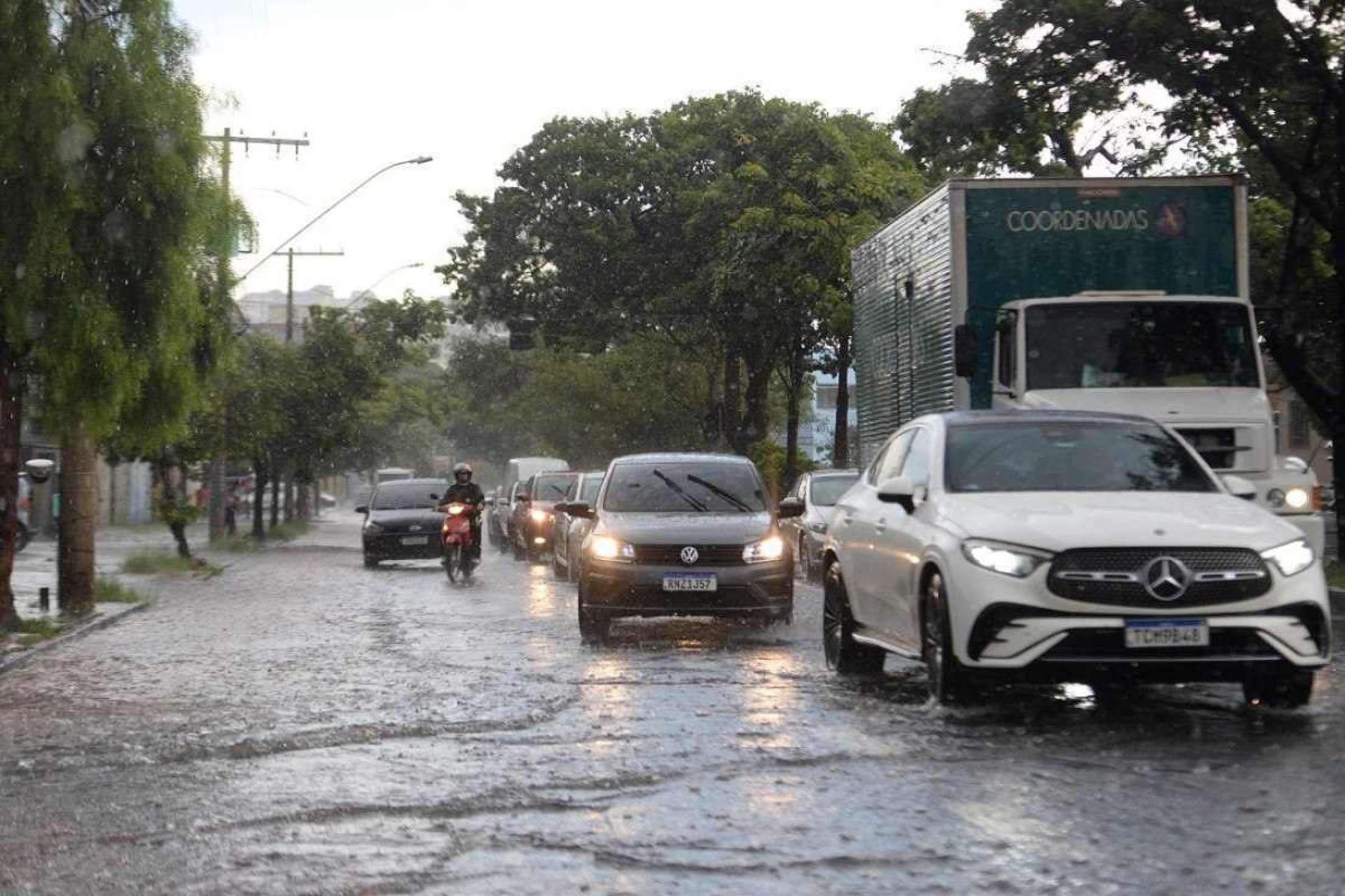  Av. Américo Vespúcio. Arvore caída fecha via no sentido Av. Presidente Carlos Luz.
      