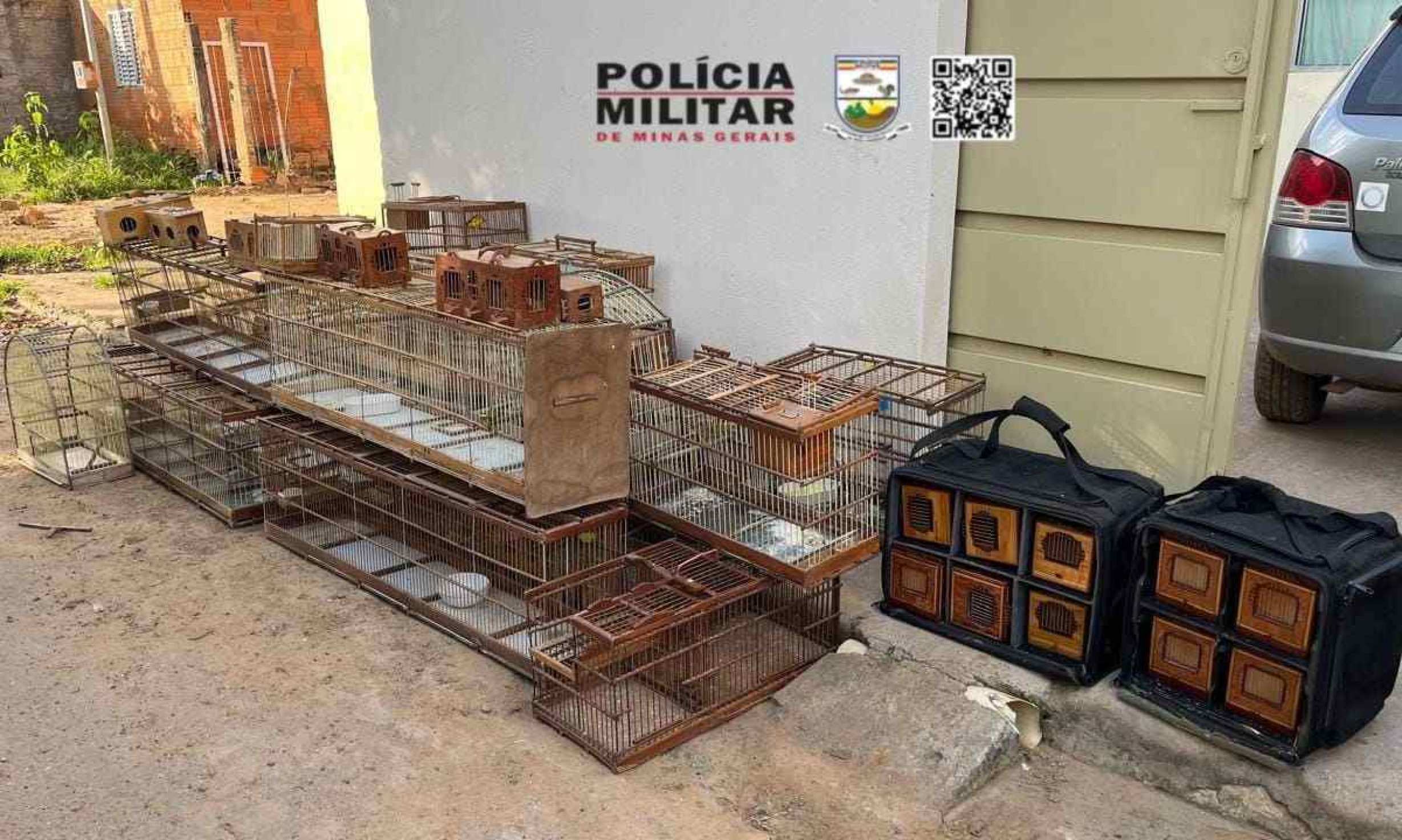 Caçador de aves é preso e animais são soltos em Minas