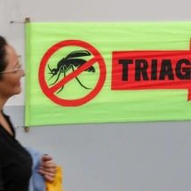 Entenda o que são sorotipos da dengue e por que o tipo 3 preocupa - Fabio Rodrigues-Pozzebom/ Agência Brasil