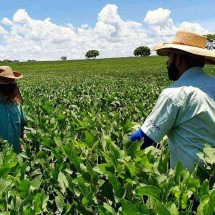 agricultores