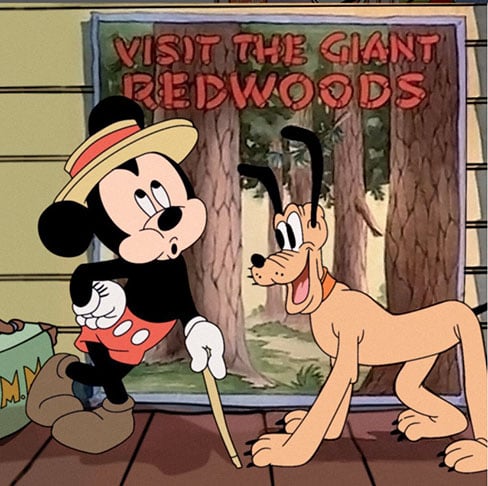 Isso significou o fim da exclusividade de controle sobre a figura original do Mickey. Produções alternativas, como o filme de terror 