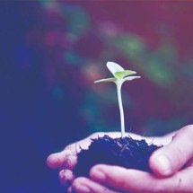 Cirion lança seu segundo Relatório de Sustentabilidade - DINO