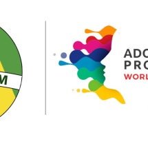 Inicia seletiva brasileira do Campeonato Mundial Adobe 2025 - DINO