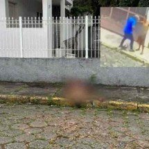 Homem é preso por homicídio após ser filmado esfaqueando vítima na rua - Imagens/Redes sociais.