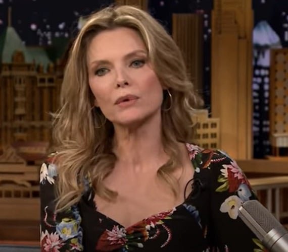 A atriz Michelle Pfeiffer admitiu em entrevista à New Yorker, que o roteiro da adaptação de Thomas Harris a deixou bastante desconfortável. Então, ela recusou interpretar Clarice Sterling em 