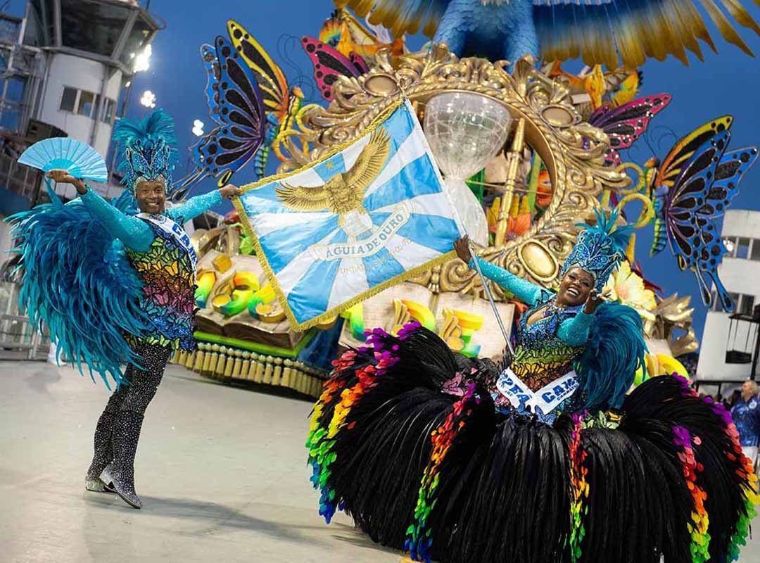 Meneio seria a forma de conduzir com elegância a porta- bandeira, enquanto mesuras é quando o mestre sala faz uma menção de reverência para a porta bandeira. Além disso, torneados é quando o mestre sala gira em torno do próprio pé e meia volta quando gira a 180 graus ao redor da porta-bandeira.