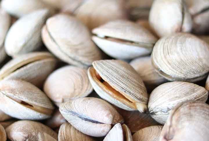 AmÃªijoa Ã© a designaÃ§Ã£o comum dada a vÃ¡rias espÃ©cies de moluscos bivalves da ordem Veneroida, pertencentes Ã s famÃ­lias Lucinidae, Cardiidae e Veneridae. No Brasil, elas sÃ£o mais frequentemente conhecidas por marisco-pedra, massunim, sarnambi ou berbigÃ£o.