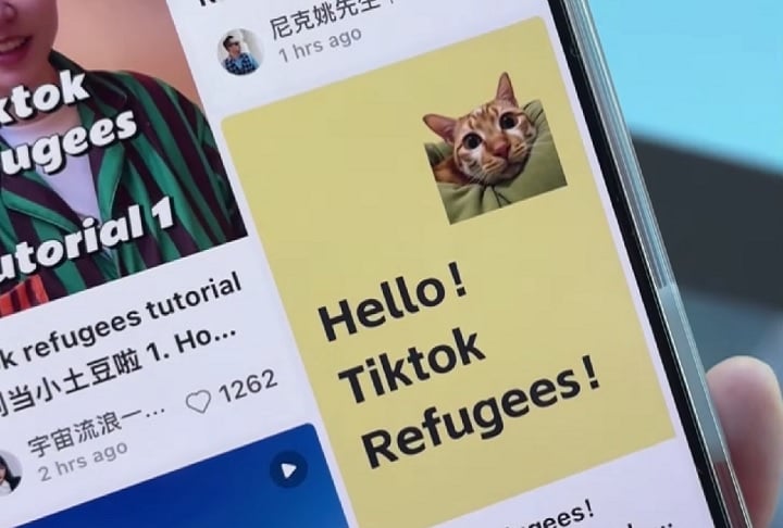 Embora ainda esteja disponível apenas em chinês e inglês, mais de 257 mil brasileiros já fizeram download do RedNote. -reprodução/abc news