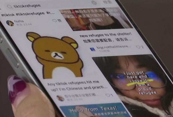 “Este aplicativo é muito fofo e tem sido muito divertido até agora”, descreveu um usuário.-reprodução/abc news