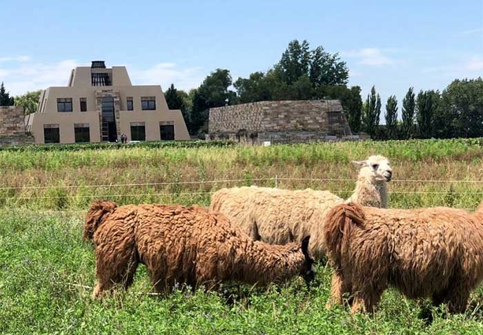 1ª – A liderança fica com a vinícola ‘Catena Zapata', na cidade de Mendoza, na Argentina. Seu principal produto é o vinho Malbec, referência no país. O espaço oferece passeios que apresentam a história da vinícola familiar.
