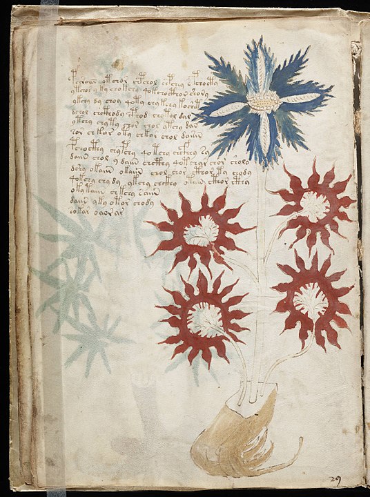 Alguns mistÃ©rios continuam, como o Manuscrito de Voynich, um codex ilustrado, com 240 pÃ¡ginas, do sÃ©culo 15. Ganhou a alcunha de 