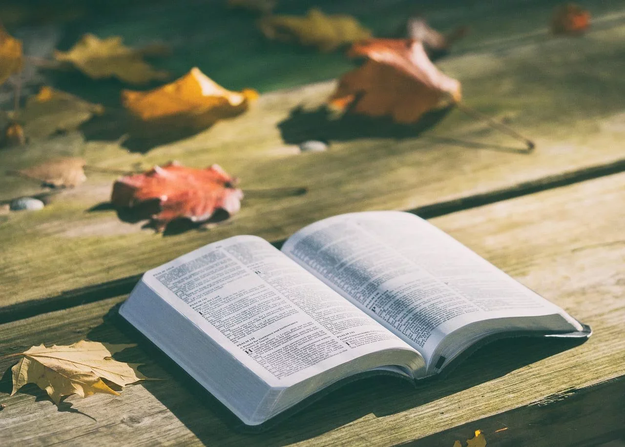 Bíblia: China comunista é maior impressora do Livro Sagrado - Imagem de Pexels por Pixabay 