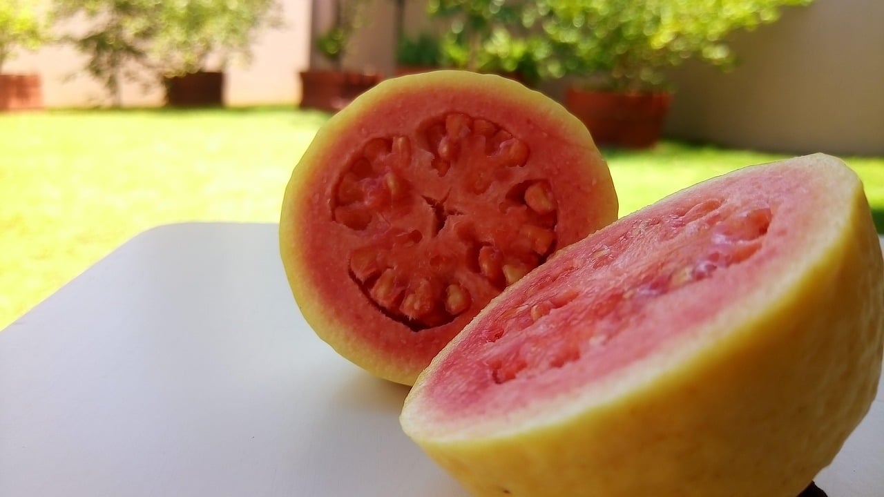 Goiaba: Rica em fibras que aumentam a saciedade, vitamina C (mais que a laranja) e licopeno, antioxidante que protege as células e reduz o colesterol.
