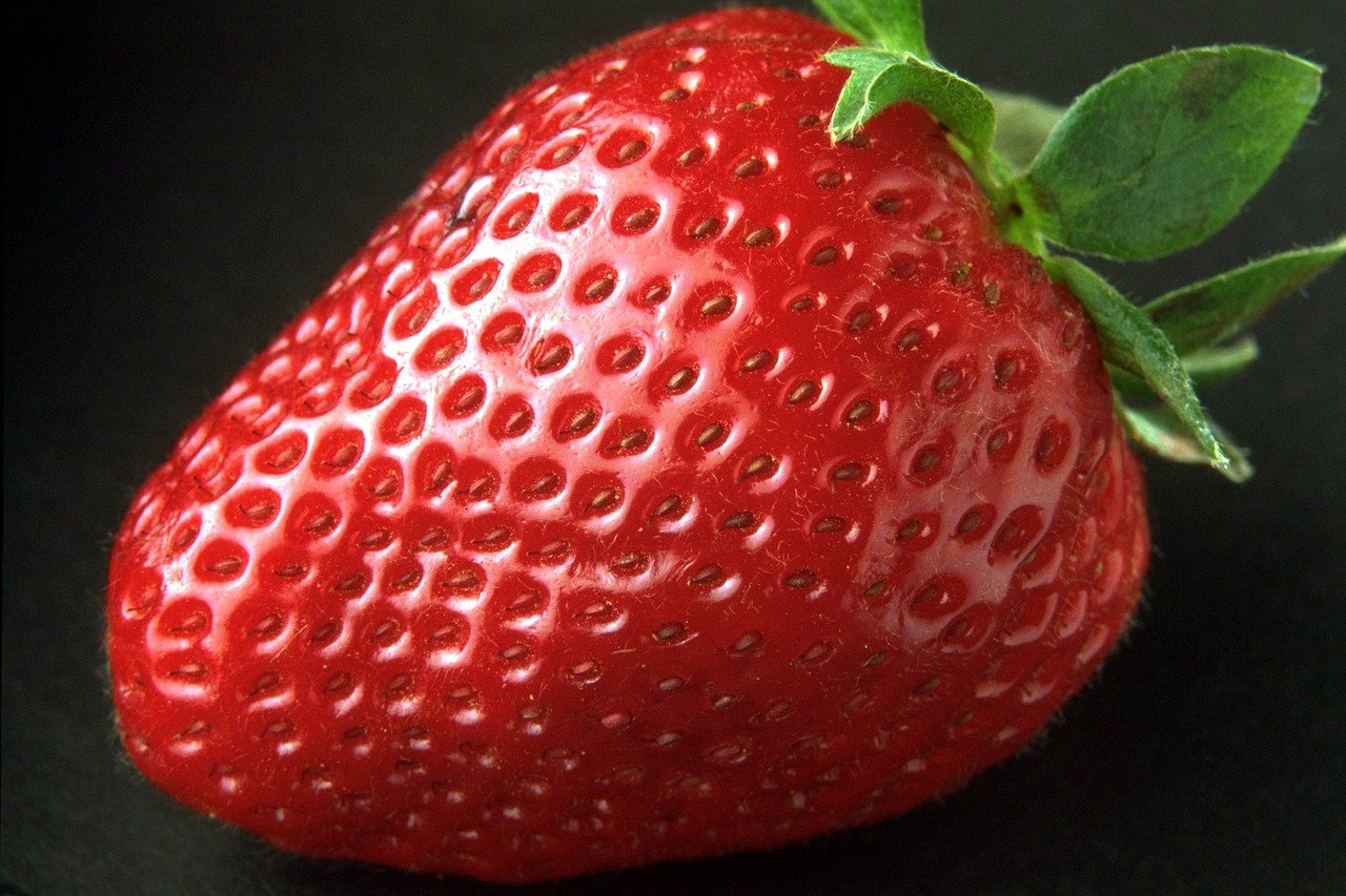 O morango contém fibras que promovem saciedade e auxiliam na digestão. Além disso, é uma fonte poderosa de antioxidantes como a vitamina C e os flavonoides, que combatem a inflamação e ajudam na saúde metabólica.
