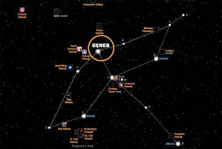 Cignus: Conhecida como a 