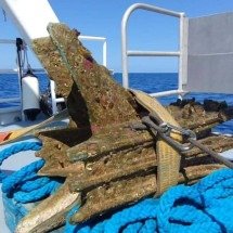 Arma romana utilizada em batalha é descoberta na Sicília - Divulgação/Superintendência do Mar da Região da Sicília