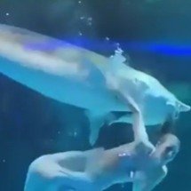 Atriz vestida de sereia é atacada por peixe em aquário chinês - Reprodução de vídeo redes sociais 