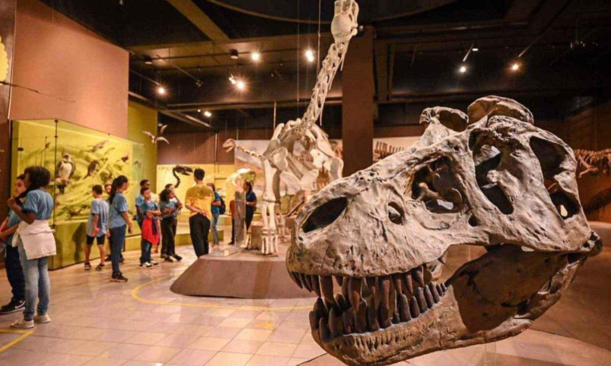 Museu da PUC e região ficam sem energia elétrica nesta sexta-feira (31/1) -  (crédito: crédito: Leandro Couri / E.M / D.A Press)