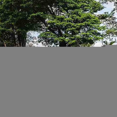 ‘Toscana brasileira’: Cidade serrana é rota do azeite e do vinho -  São Bento do Sapucai /wikimédia Commons