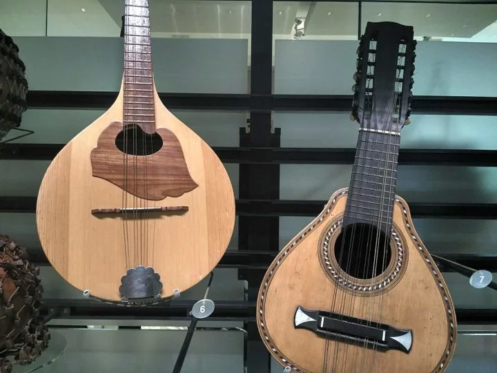 O pau-brasil é considerado a árvore ideal para a fabricação de arcos para instrumentos musicais.Mas, por ser protegida por lei, a árvore não pode ser cortada nas florestas.