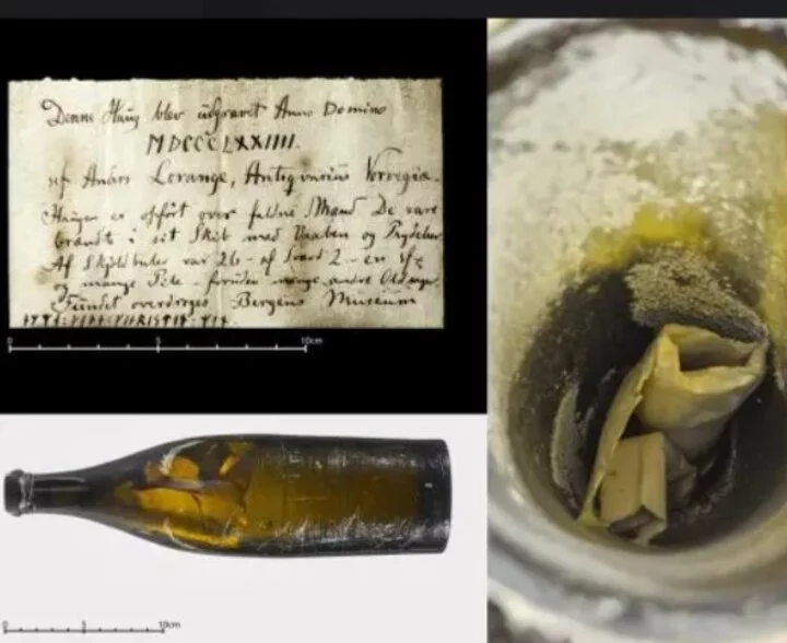 Arqueólogos descobrem carta de amor dentro de garrafa num sítio viking - Divulgação/Universidade de Bergen