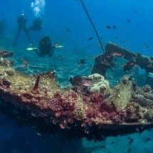 Arqueólogo descobre tesouro de 22 toneladas em navio naufragado - reprodução/The Daily Galaxy/Great Discoveries Channel