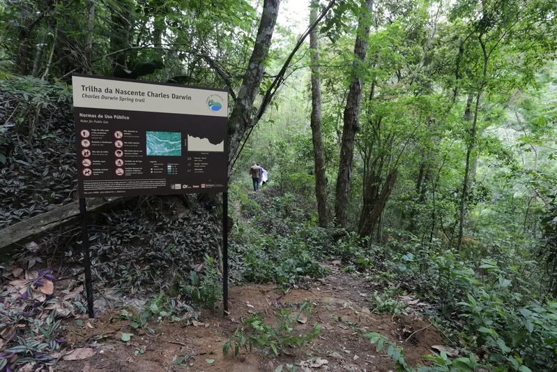 Quando alguma nova espécie é encontrada, é natural comemorar. Em 2023, pesquisadores da Universidade Federal Rural do RJ e do Jardim Botânico do RJ encontraram duas no Parque Estadual da Serra da Tiririca.