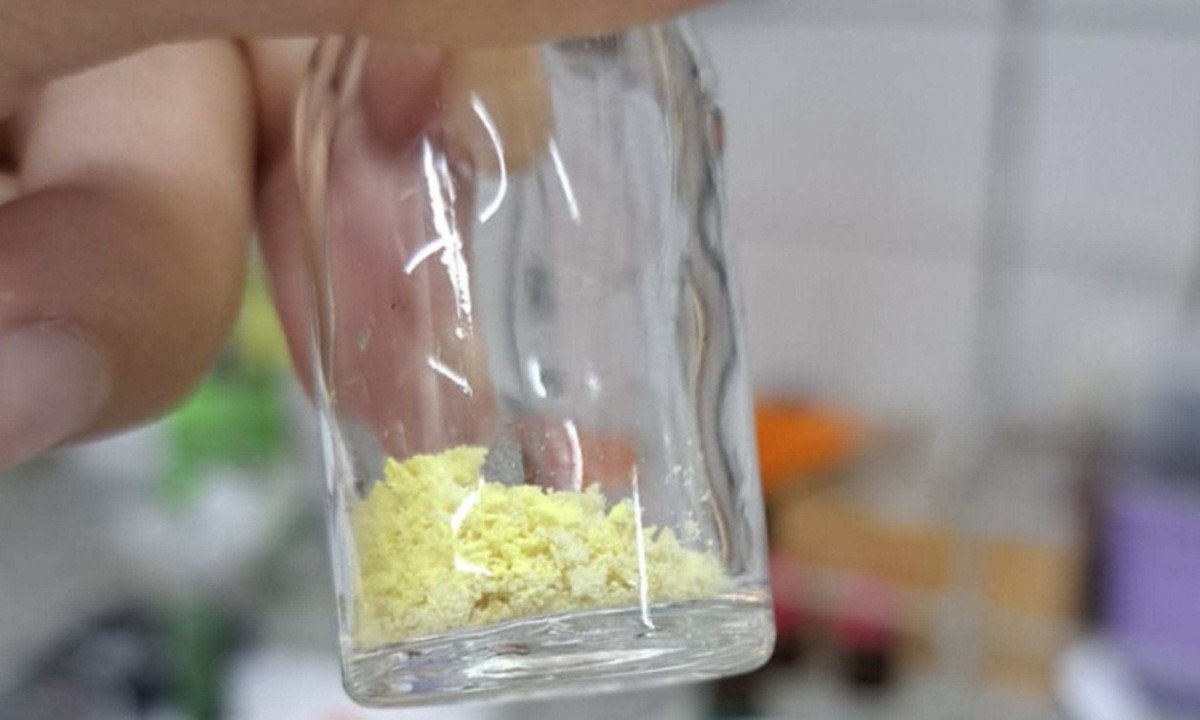 Pesquisa foi iniciada em 2020 durante o movimento global de laboratórios de universidades e da indústria farmacêutica para reavaliar moléculas já conhecidas e existentes em seus bancos de substâncias -  (crédito: Arquivo/Grupo de Pesquisa)