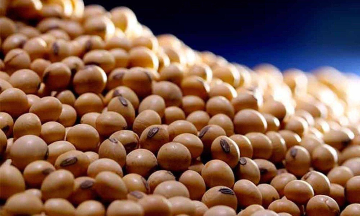Frustração de safras, como a de soja, tem levado produtores e empresas a recorrerem 
a recuperação judicial ou notificações extrajudiciais. Maiores dívidas chegam a R$ 2 e R$ 5 bilhões -  (crédito: EBC/Divulgação)
